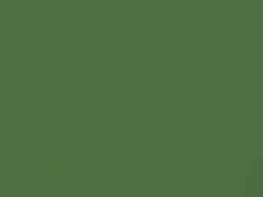 Apple Metallic touch-up paint for Ford Fiesta, code 665, 6HTE, 6HTEWWA, 2008