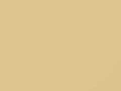 Beige Astral touch-up paint for Fiat, code 32, 2011