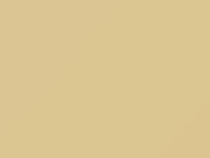 Beige Astral touch-up paint for Fiat, code 32, 2011