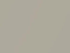Beige Niebla Metallic touch-up paint for Volkswagen, code LS1R, S1R, 2004