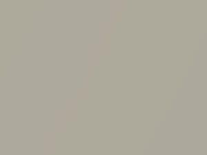 Beige Niebla Metallic touch-up paint for Volkswagen, code LS1R, S1R, 2004