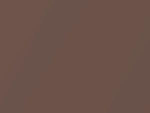Grigio Bronzo Metallic touch-up paint for Fiat Multipla, code 674A, 2001