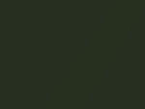 Verde Schietto Metallic touch-up paint for Fiat, code 380B, 2011