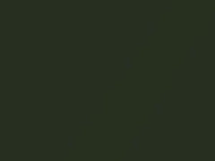 Verde Schietto Metallic touch-up paint for Fiat, code 380B, 2011