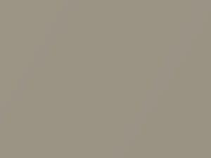 Sahara Beige Metallic touch-up paint for Infiniti Q45, code CR0, 1999