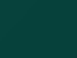 Green Rimiz touch-up paint for Daihatsu, code G21, 1996