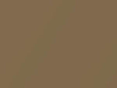 Gold Metallic touch-up paint for Nissan Frontier, code C20, 2005