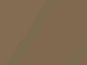 Gold Metallic touch-up paint for Nissan Frontier, code C20, 2005