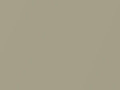 BMW Pearl Beige Metallic/Perlbeige Metallic touch up paint 411 1998 All Models