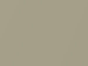 BMW Pearl Beige Metallic touch up paint 411 1998 X5