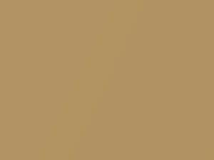 BMW Solid Gold Metallic touch up paint 859 2002 All Models