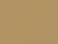 BMW Solid Gold Metallic touch up paint 859 2002 All Models