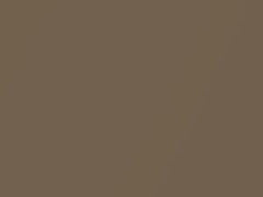 Ash Gold Metallic touch-up paint for Mercury Tracer, code BJ, M6866A, XA1, 1999