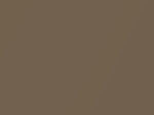 Ash Gold Metallic touch-up paint for Mercury Tracer, code BJ, M6866A, XA1, 1999