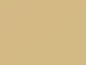 Beige touch-up paint for Fiat, code 216, 216F, 283, 1990