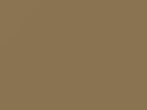 Beige Meteora touch-up paint for Fiat Panda, code 711A, 2002