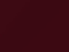 Garnet Red touch-up paint for Ford Transit, code 490, EDBA, 1996