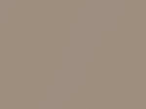 Mesa Beige Metallic touch-up paint for Honda Odyssey, code YR520M, 1999