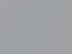 Grigio Chiaro Metallic touch-up paint for Fiat, code 605B, 2011