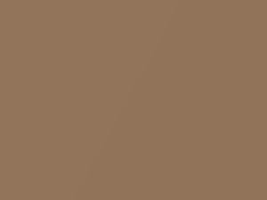 Gold Savor Hazelnut Metallic touch-up paint for Hyundai Tiburon, code UE, 2004