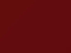 Flash Red touch-up paint for Suzuki, code Z1W, 2000