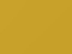 Sunshine Lemon Yellow touch-up paint for Suzuki, code 485, 52U, ZP7, 2006