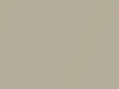 Light Beige Metallic touch-up paint for Chrysler, code PTF, S40, 2001