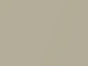 Light Beige Metallic touch-up paint for Chrysler, code PTF, S40, 2001