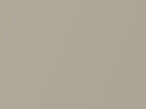 Melange Beige Metallic touch-up paint for Audi S4, code 3X, LY1T, X3, Y1T, 1999
