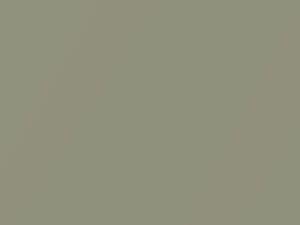 Champagne Beige Metallic touch-up paint for Honda CR-V, code YR523M, 2000