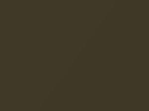 Olive Metallic touch-up paint for Infiniti, code EV4, 1999