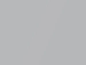 Platinum Silver Metallic touch-up paint for Subaru, code D6S, 2010