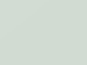 Arctic White touch-up paint for Cadillac, code 10, 9567, G8G, WA9567, 2010