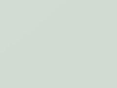 Arctic White touch-up paint for Pontiac Firebird, code 10, 9567, G8G, WA9567, 2000