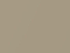 Cashmere Metallic touch-up paint for Buick, code 15, 2007