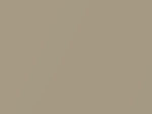 Cashmere Metallic touch-up paint for Chevrolet Express, code 15, 2007