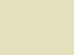 Lite White touch-up paint for Smart Fortwo, code C04L, EA2, 2000