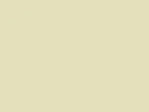 Lite White touch-up paint for Smart Fortwo, code C04L, EA2, 2000