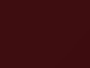 Rosse Bramante Metallic touch-up paint for Fiat, code 103A, 2004