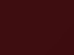 Rosse Bramante Metallic touch-up paint for Fiat, code 103A, 2004
