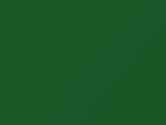 Evergreen touch-up paint for Volkswagen, code A6C, LA6C, 2011