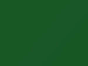 Evergreen touch-up paint for Volkswagen, code A6C, LA6C, 2011