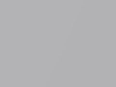 Silver Lining Metallic touch-up paint for Hyundai Atoz, code SL, 2000