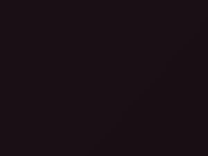 BMW Violettrot touch up paint 316 1991 Z3