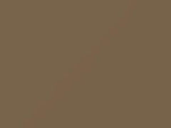 Alpaca Beige touch-up paint for Ford, code A, 1992–2025