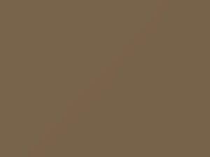 Alpaca Beige touch-up paint for Ford, code A, 1992–2025