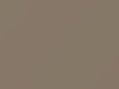 Light Sand Gray touch-up paint for Buick, code 60, 7690, WA7690, 1984