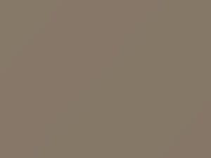 Light Sand Gray touch-up paint for Buick, code 60, 7690, WA7690, 1984