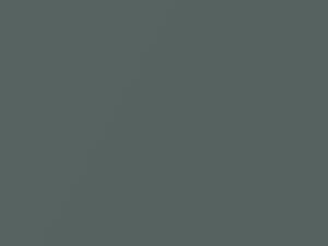 Verde Perugino Mica touch-up paint for Fiat Doblo, code 781, 2007
