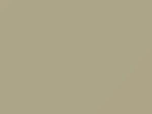 Ivory touch-up paint for Nissan, code KJ7, 2002